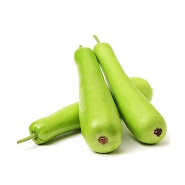 Bottle-gourd (Dodi)