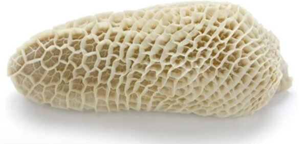 Beef Bible Tripe
